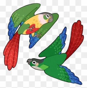 Tropical Fish Clip Art - Yellow Sided Conure Clipart