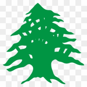 Lebanese Flag Cedar Tree - Free Transparent PNG Clipart Images Download