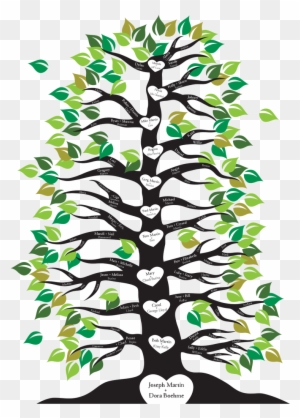 Image Result For Family Tree With Roots And Branches - Family Tree With Roots