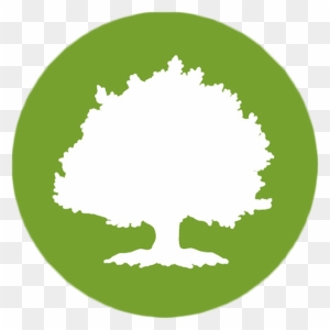 Large Tree - Oak Street Health Logo