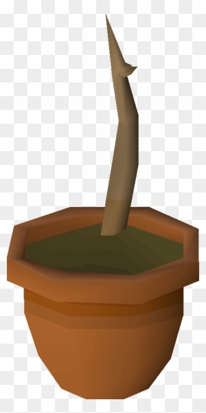 Oak Saplings Are Obtained By Planting An Acorn In A - Old School Runescape