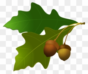Oak Leaves Clip Art Transparent Png Clipart Images Free Download Clipartmax