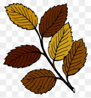 Branch, Leaf, Tree, Dead, Fall, Plant - Dead Leaves Clip Art