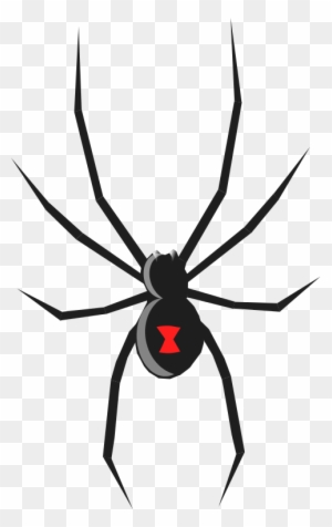 Related Clip Art - Black Widow Spider Drawing
