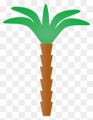 Tree, Cartoon, Plant, Florida, Coconut, Nature - Palm Tree Clip Art