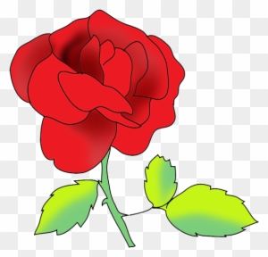 Flower Image Gallery Red Rose - Portable Network Graphics