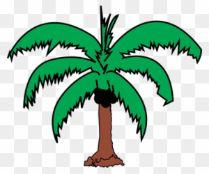 Coconut Palm Plant Tree Coconut Coconut Co - Coconut Tree Leaves Clip Art