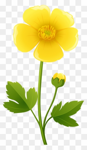 Yellow Flower Clipart, Transparent PNG Clipart Images Free Download -  ClipartMax