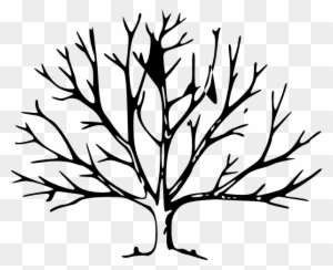 Draw A Tree Without Leaves