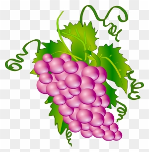 Wine Grapes Clipart - Grapes Tree Clip Art
