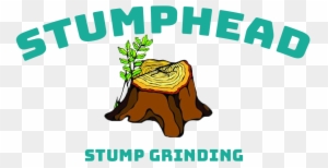 Follow - Tree Stump