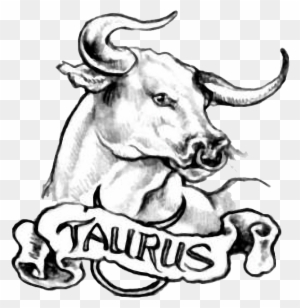 bull head tattoo ideas