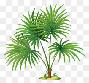 Palm Tree Leaves Clipart , Png Download - Palm Tree Leaves Clipart , Png Download