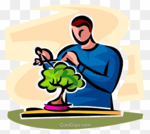 Man Looking After A Bonsai Plant Royalty Free Vector - Illustration