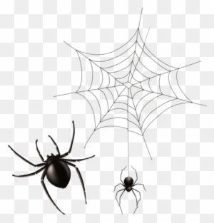 Free Png Download Spider And Cobweb Png Images Background - Spider Web