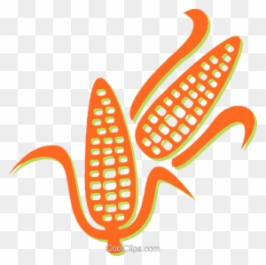 Corn On The Cob Royalty Free Vector Clip Art Illustration - Corn Vector