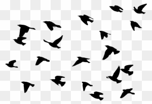 Flying Bird Png - Flock
