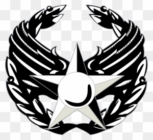 United States Air Force Commander's Insignia - United States Air Force