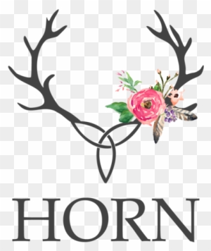 Horn Photography And Design Blog - Northland College Ashland Logo