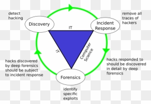 Digital Forensics Is The Meticulous Task Of Identifying - Brain Learning
