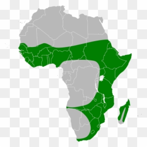 Black Heron Map) Range Map - Africa Map Green Png
