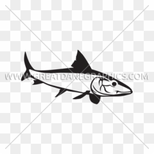 Bonefish - Bronze Hammerhead Shark
