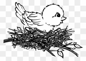 Birds Nest Clipart Vector, Bird Nest Logo Vector Line Art Outline Download  Monoline, Bird Drawing, Logo Drawing, Outline Drawing PNG Image For Free  Download