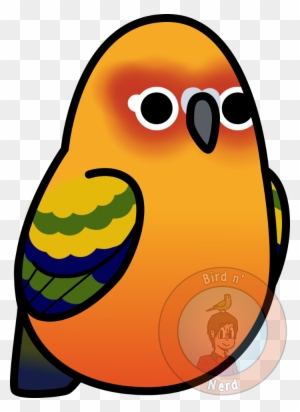 Too Many Birds - Conure Too Many Birds - Conure