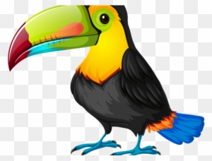 jungle parrot clipart