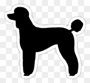 Download Poodle Clipart Transparent Png Clipart Images Free Download Clipartmax