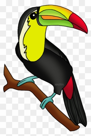 Toucan - Amazon Rainforest Animals Clipart