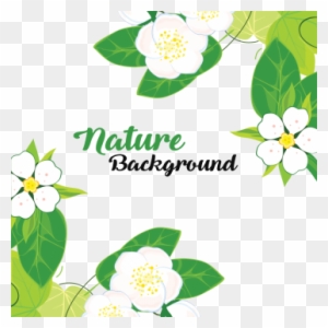 Leaves And Flowers With Nature Background, Leaves, - Evergreen Rose