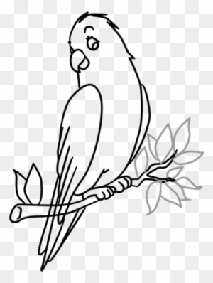 Free Png Download Bird In A Tree Drawing Png Images - Birds In Tree Drawing