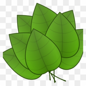 Jungle Leaves Clipart Jungle Leaves Clipart Free Jungle - Parts Of The Plants Leaf
