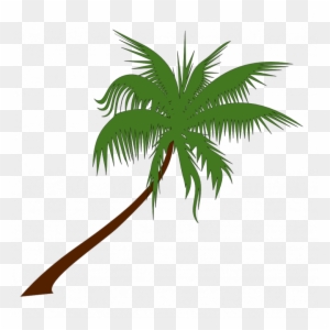 Medium Size Of Christmas Tree - Palm Tree Vector Png