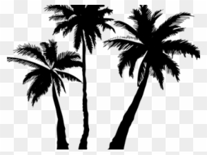Palm Tree Clipart Stylized - High Resolution Palm Tree Silhouette Png
