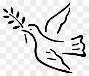 Vector Illustration Of Dove Bird With Olive Branch - Peace Dove