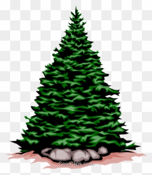 Evergreen Tree Royalty Free Vector Clip Art Illustration - Christmas Tree Clip Art