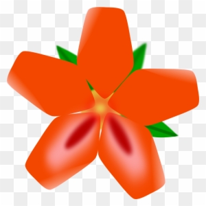 Get Notified Of Exclusive Freebies - Hawaiian Flowers Clip Art