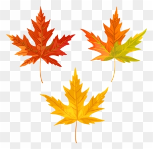 Download Orange Fall Leaves Clipart Png Photo - Maple Leaf