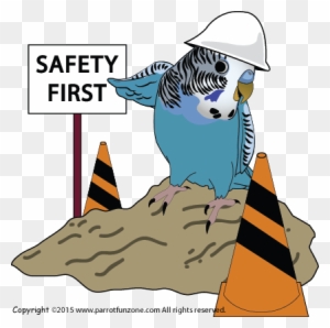 Make Things Safe Our Pet Birds Are - Safety First Clip Art