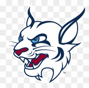 Bobcat - St Thomas University Logo Florida