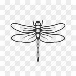 Clip Art Royalty Free Download Insects Essentials By - Transparent Dragonfly Drawing