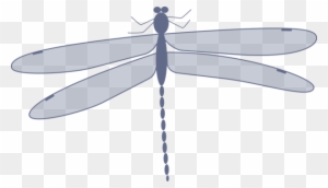 Dragonfly Damselflies Insect Computer Icons Drawing - Dragonfly Clip Art