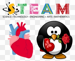Image Of Steam Graphic With An Image Of An Anatomical - Steam Science Technology Engineering Art Mathematics