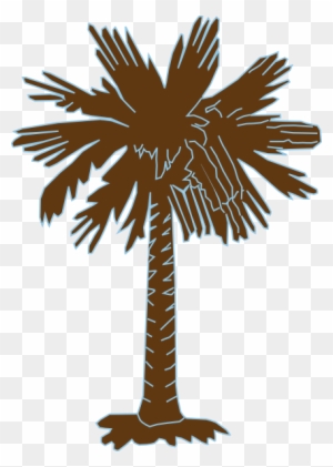 South Carolina Palmetto Tree