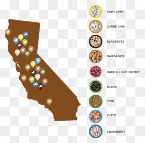 Cabeans Final Seasonaltimeline - California Map