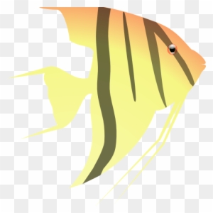 Clipart Turtle Year - Angel Fish Clipart