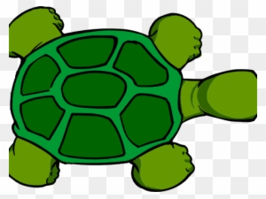 Tortoise Clipart Top View - Cartoon Turtle Shell