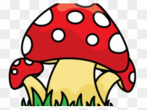 Drawn Mushroom Wild Mushroom - Mushrooms Draw Png